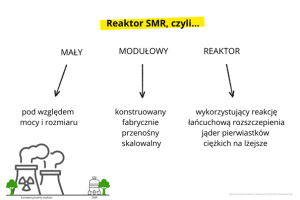 Reaktor SMR czyli - Przemysł i Środowisko