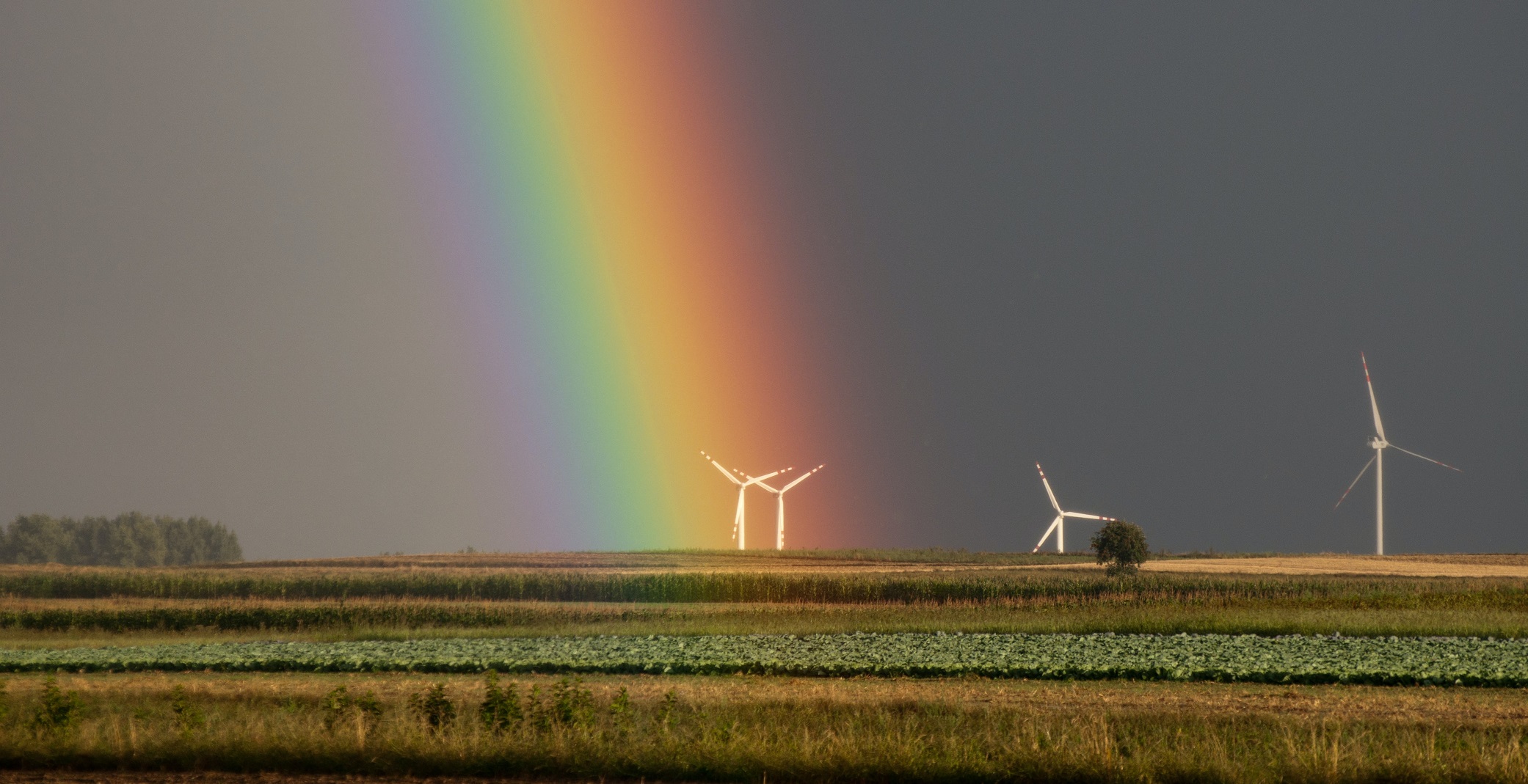 Farmy wiatrowe – co warto wiedzieć? Przemysł i Środowisko