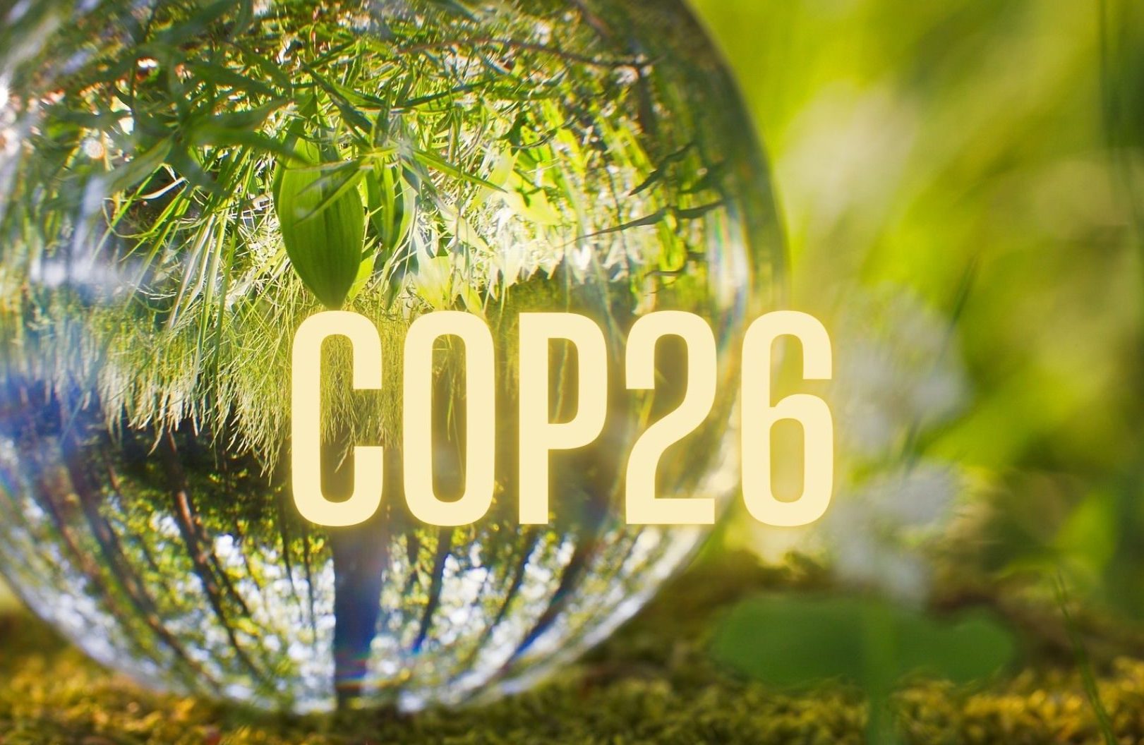 Rozmowy o klimacie to za mało – podsumowanie szczytu G20 oraz COP26 Przemysł i Środowisko