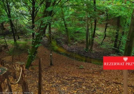 Działania prowadzone na obszarach form ochrony przyrody