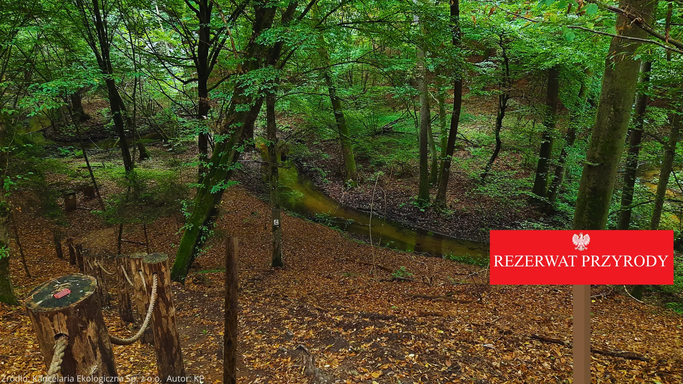 Działania prowadzone na obszarach form ochrony przyrody